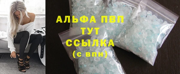 дмт Инта