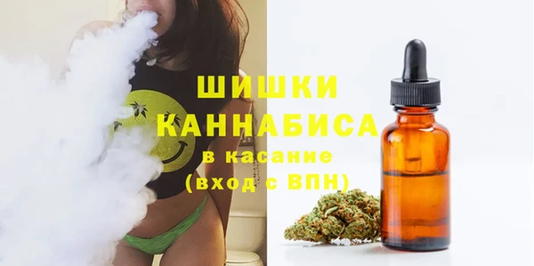 дмт Инта