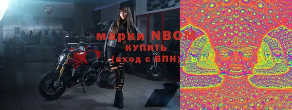 дмт Инта