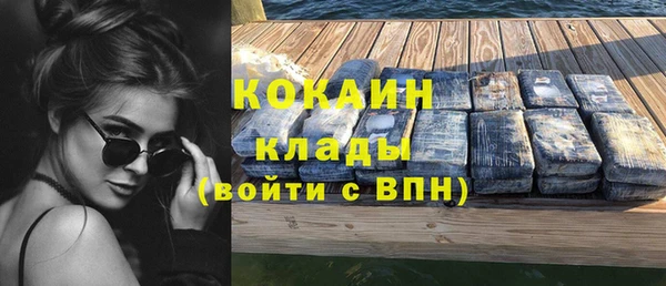 дмт Инта