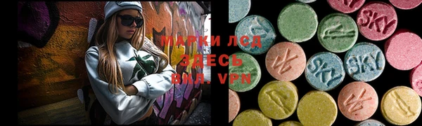 дмт Инта