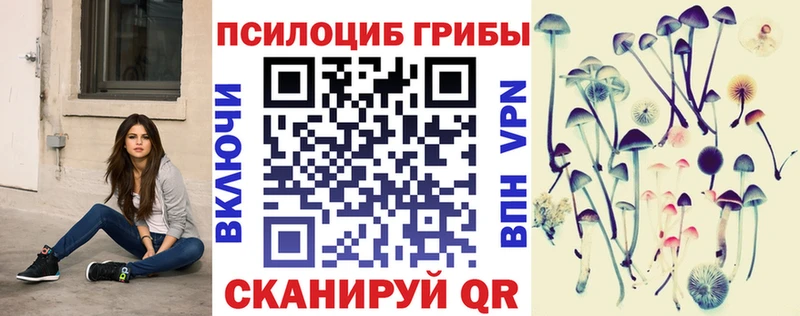 Псилоцибиновые грибы Psilocybe Ирбит