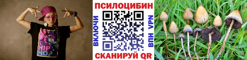 Купить  Ирбит  Галлюциногенные грибы Psilocybe 