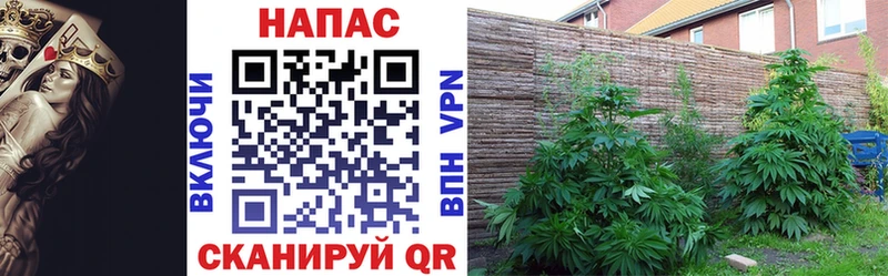 Бошки Шишки марихуана  Купить  Ирбит 